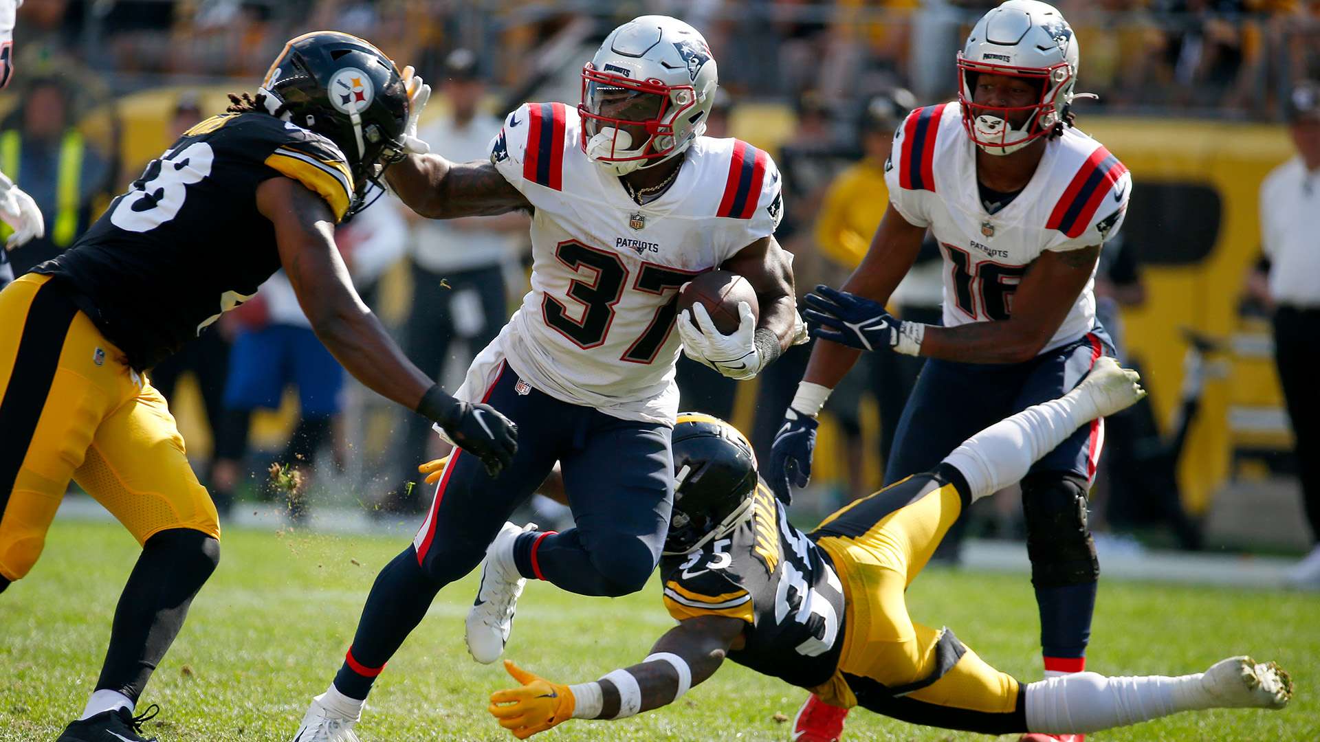 马的英雄主 马的英雄主