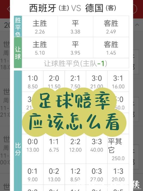 世界杯买球：实时赔率变化分析工具